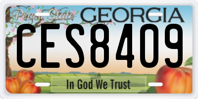 GA license plate CES8409