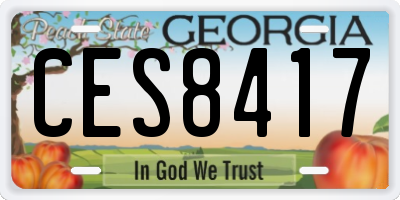 GA license plate CES8417