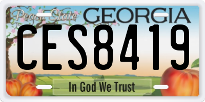 GA license plate CES8419