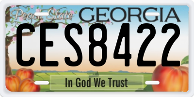 GA license plate CES8422