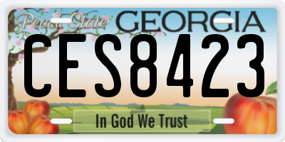 GA license plate CES8423