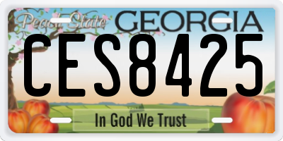 GA license plate CES8425