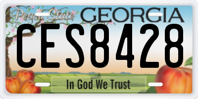 GA license plate CES8428
