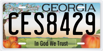 GA license plate CES8429