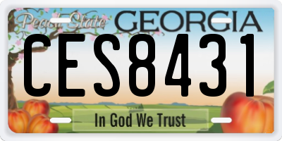 GA license plate CES8431