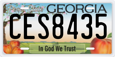 GA license plate CES8435