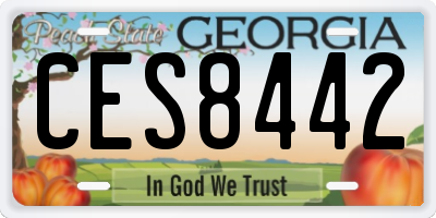 GA license plate CES8442