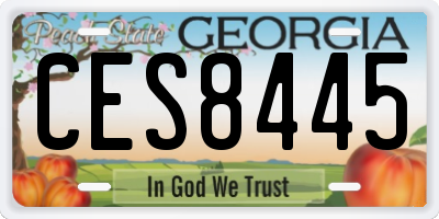 GA license plate CES8445