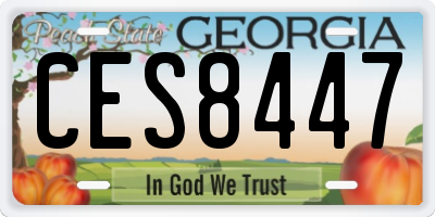GA license plate CES8447