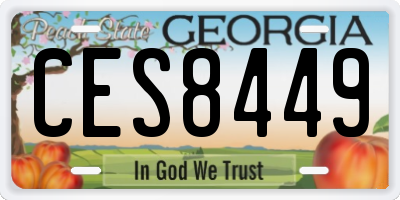 GA license plate CES8449