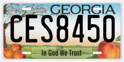GA license plate CES8450