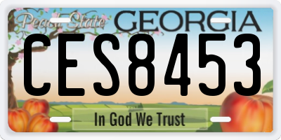 GA license plate CES8453