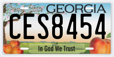 GA license plate CES8454
