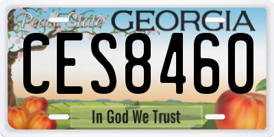GA license plate CES8460