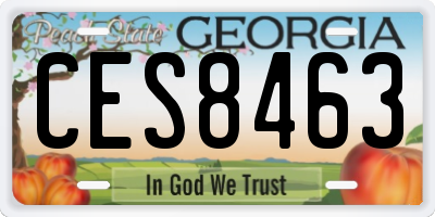 GA license plate CES8463