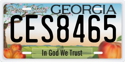 GA license plate CES8465