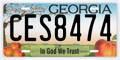 GA license plate CES8474