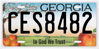 GA license plate CES8482