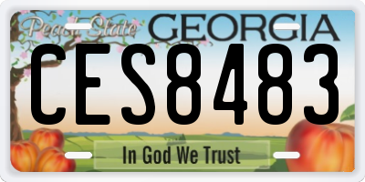 GA license plate CES8483