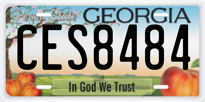 GA license plate CES8484