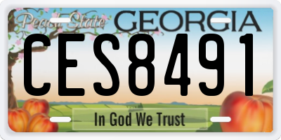 GA license plate CES8491