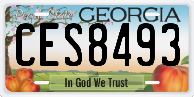 GA license plate CES8493