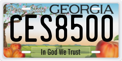 GA license plate CES8500