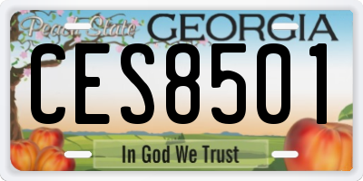 GA license plate CES8501
