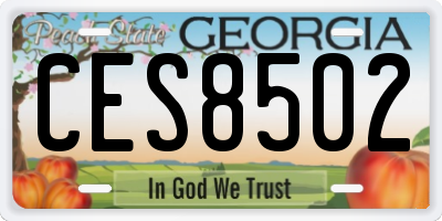 GA license plate CES8502