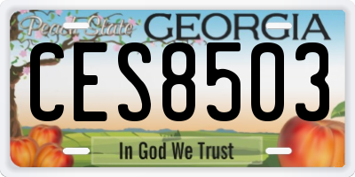 GA license plate CES8503
