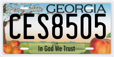 GA license plate CES8505