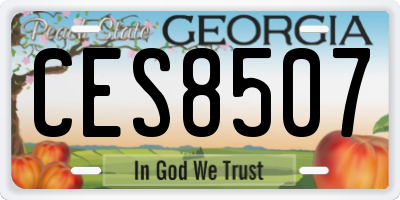 GA license plate CES8507