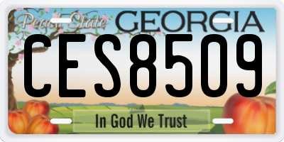 GA license plate CES8509