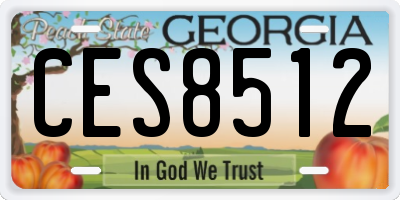 GA license plate CES8512