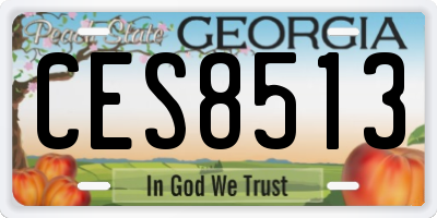GA license plate CES8513
