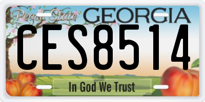 GA license plate CES8514