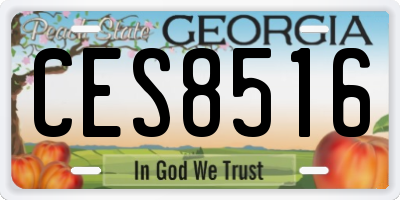 GA license plate CES8516