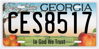 GA license plate CES8517