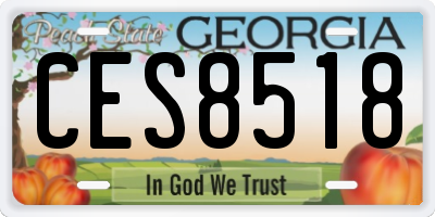 GA license plate CES8518