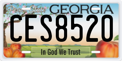 GA license plate CES8520