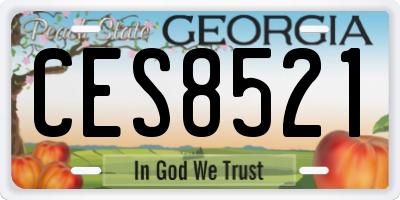 GA license plate CES8521