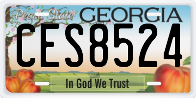 GA license plate CES8524