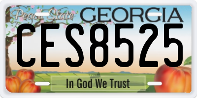 GA license plate CES8525