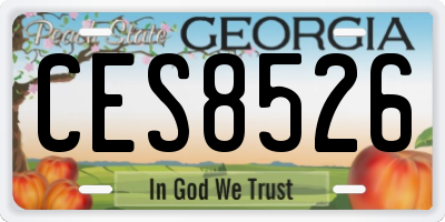 GA license plate CES8526