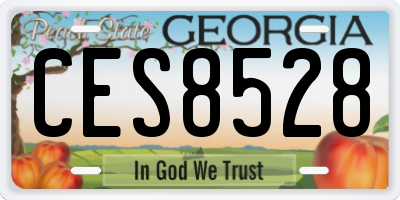 GA license plate CES8528
