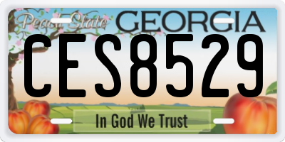 GA license plate CES8529
