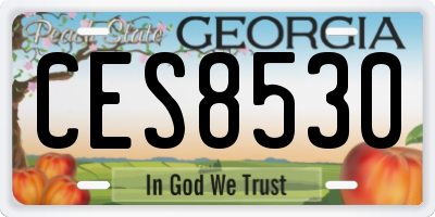 GA license plate CES8530