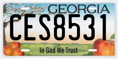 GA license plate CES8531