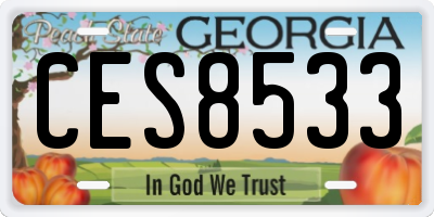 GA license plate CES8533