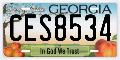 GA license plate CES8534